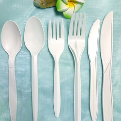 Disposable Cutlery