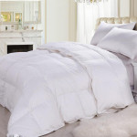 Five Star Hotel 180GSM 50 Percent Goose Down Duvet 10pcs pack