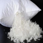 Star Hotel Goose Down Pillow 10pcs pack