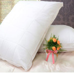 Star Hotel Goose Down Pillow 10pcs pack