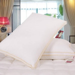 Star Hotel Goose Down Pillow 10pcs pack