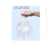 Plastic Disposable Gloves