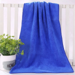 Plain Weave Cotton Beach Towel